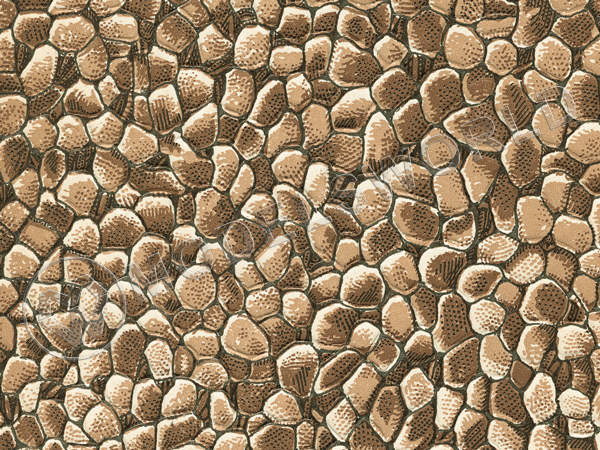 Настенного плитняк, 22х10 см - фото 1