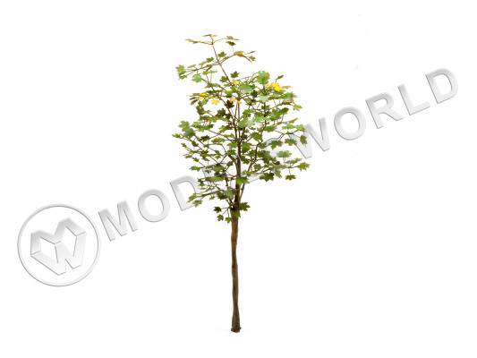 Фототравление Клен остролистный, размер М