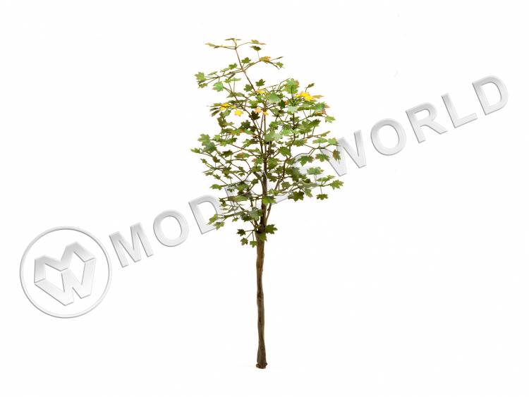 Фототравление Клен остролистный, размер М - фото 1