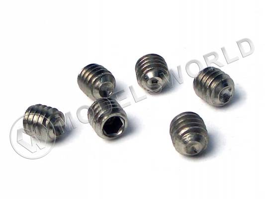 Винт фиксатор M4*4 (6 шт.)