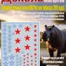 Декаль Опознавательные знаки ВВС России (образца 2010 года). Масштаб 1:32
